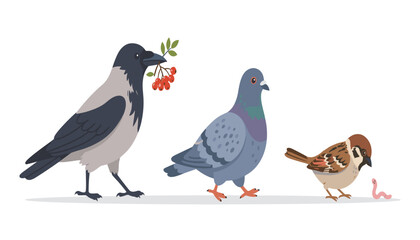 Fototapeta premium Common city birds vector collection featuring standing hooded crow holding berries pigeon and sparrow eating worm