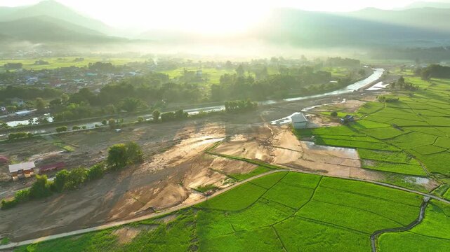 Aerial view captures damaged rice paddies beside a river following intense flash flooding, highlighting sediment accumulation, crop damage, challenges in agricultural recovery. Nan Province, Thailand.