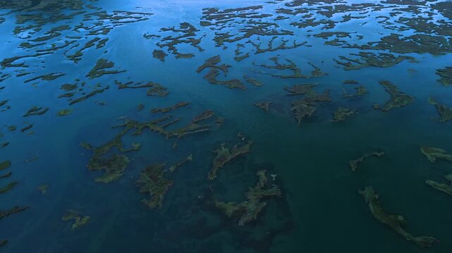 Aerial drone view of the marshes in Escalante in the Marismas de Santo&ntilde;a, Victoria y Joyel Natural Park. Cantabrian Sea. Santo&ntilde;a, Cantabria, Spain, Europe