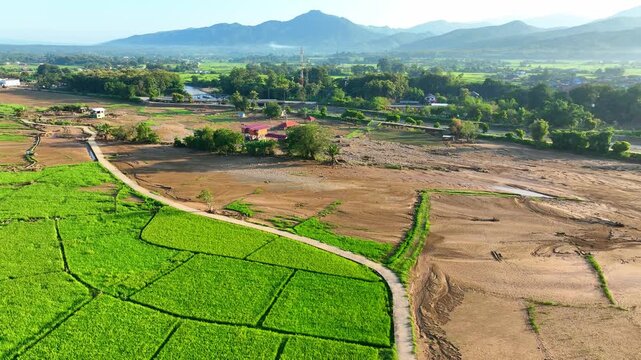 Aerial view captures severe flash flood damage across rice fields, revealing thick sediment deposits, destroyed farmland, soil erosion, and agricultural losses. Nan Province, Thailand. 4k.
