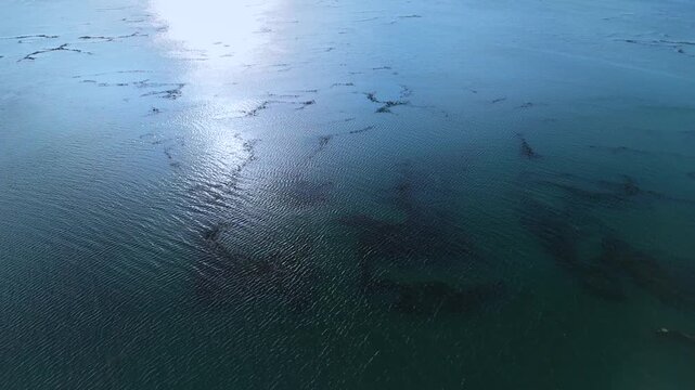 Aerial drone view of the marshes in Escalante in the Marismas de Santo&ntilde;a, Victoria y Joyel Natural Park. Cantabrian Sea. Santo&ntilde;a, Cantabria, Spain, Europe