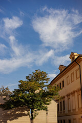 Historic urban building and leafy tree beneath wispy clouds in a blue sky, viewed from below in a European city street © alenagurenchuk