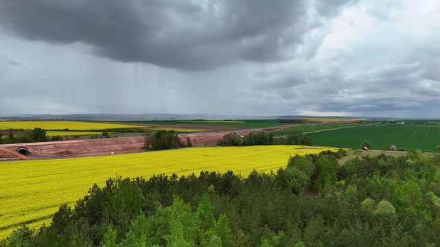 Horizontal drone footage flying over a yellow agricultural field under cloudy skies
