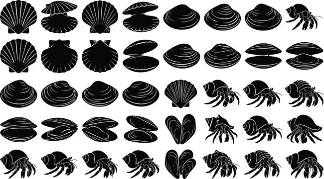 Set of black and white sea shell and hermit crab icons vector illustration