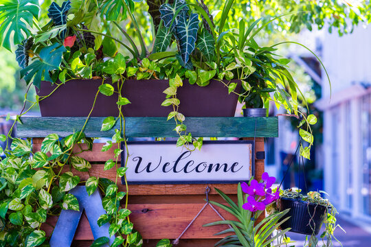 Welcome Sign Surrounded by Lush Tropical Plants and Flowers