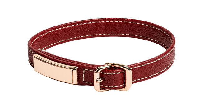 Deep red leather pet collar with gold metal name plate and buckle