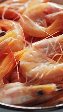 Healthy Steamed Shrimp Appetizer Close-Up Marine Cuisine