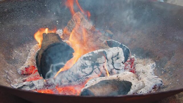 Close-up of green wood burning with bright orange flames inside a metal fire basket in daylight. Fresh green branches and wood catch fire, creating smoke and a vivid contrast between green wood and gl