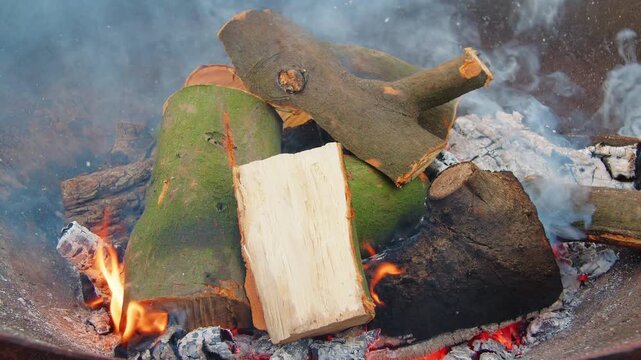 Close-up of green wood burning with bright orange flames inside a metal fire basket in daylight. Fresh green branches and wood catch fire, creating smoke and a vivid contrast between green wood and gl
