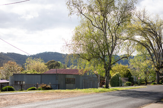 Rural Roadside Scene Featuring Trees And Building