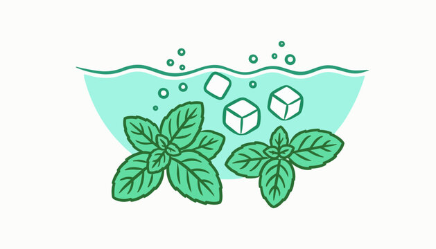Fresh mint leaves and ice cubes in cold water vector illustration