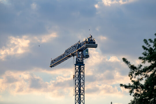 Tall blue construction tower crane silhouette with long jib and operator cabin under soft pink clouds at dusk, birds flying nearby. Urban scene for real estate, building industry and engineering ads
