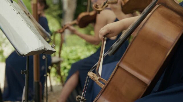 violoncelle