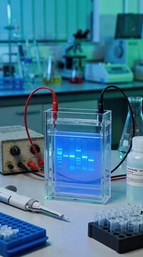 A gel electrophoresis system used for molecular biology research, set on a laboratory bench with connected power cables and lab tools nearby.