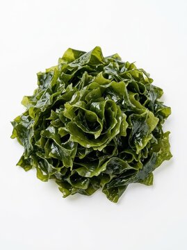 Fresh Green Wakame Seaweed Isolated on White Background - Healthy Organic Superfood Ingredient for Japanese Cuisine