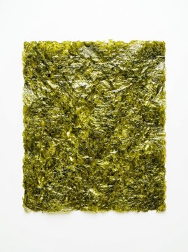 Single Sheet of Dried Green Nori Seaweed for Sushi Making Isolated on White Background - High Quality Food Ingredient