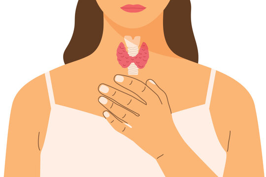 young woman touching the front of her neck with thyroid gland;  endocrine function, medical care, anatomy and health awareness - vector illustration