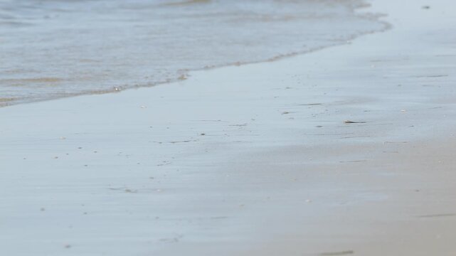 Beach water rolling in small waves