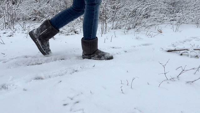 Legs of young girl in uggs hiking through trail with white snow going at forest. Female foot stepping on snowy path in park at cold day. Concept of winter active recreation and holiday trip. Low view