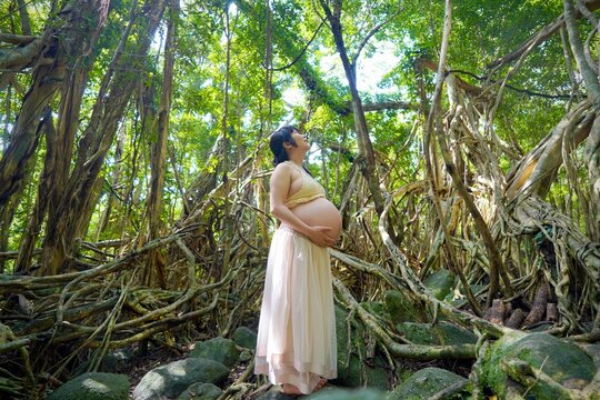 屋久島の森で木々を見上げる妊婦のマタニティフォト