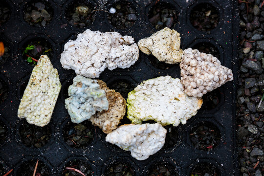 Bead foam on beach, polystyrene particles bonded together, pieces washed up from the sea.