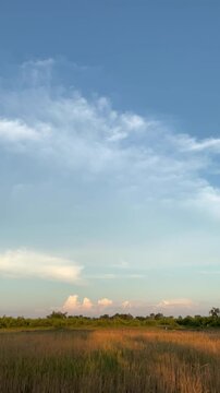 Clouds drifting over a golden rice field at sunset vertical video