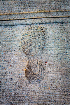 Boot print in a set grey concrete surface.