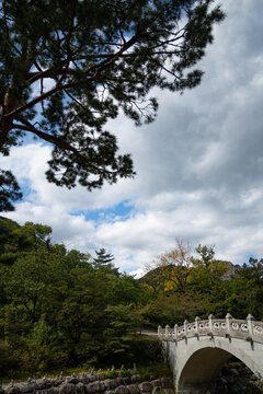 Traditional arch stone bridge surrounded by green pine trees and mountain forest in Seoraksan National Park under dramatic sky, scenic natural landscape wallpaper and Asian cultural travel background.