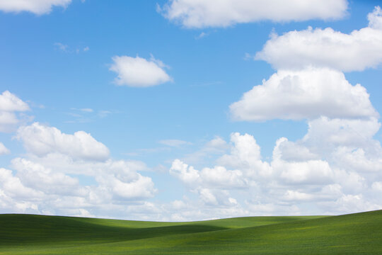 The Palouse, a large fertile agricultural prairie region, green slopes, white clouds in the sky, 