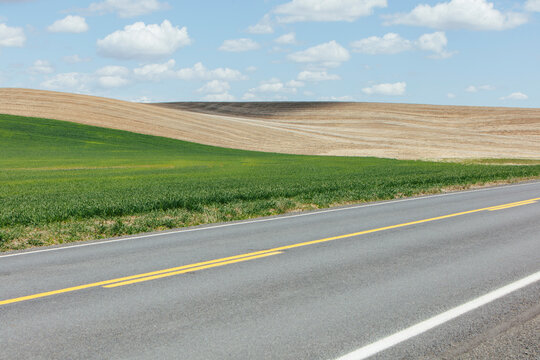 The Palouse, a two lane road through a large fertile agricultural prairie region, crops growing and bare fields.