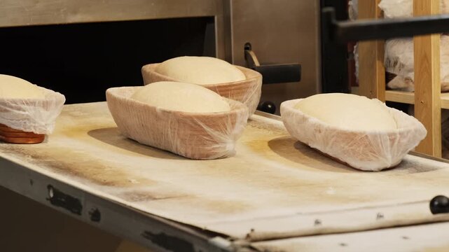 Baker hands place dough rounds into cloth lined baskets for proofing. Preparation shapes soft loaves readying each piece for baking