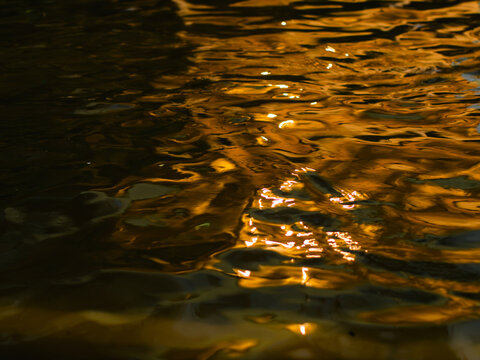 Abstract Golden Water Reflections with Shimmering Light at Sunset, Warm Rippling Texture