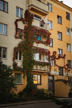 Five-story residential building covered with dense Virginia creeper in vibrant autumn colors, combining cream brick and yellow-orange walls with balconies, greenery, and a paved walkway