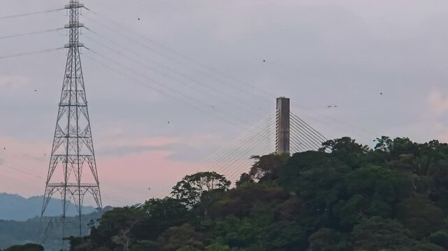 At dusk, the Centennial Bridge's cable-stayed tower rises above the forest in Gamboa, Panama Canal, Panama, spanning the Culebra Cut as birds dot the fading pink sky.