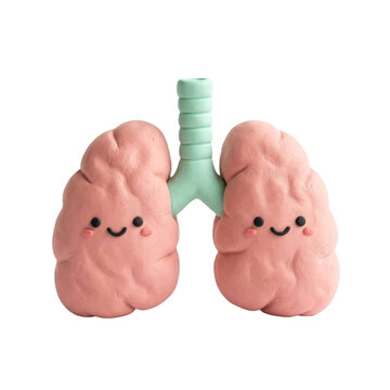 Cute cartoon lungs illustration, medical art style