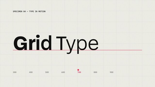 Grid Specimen Type Motion Minimal Title Sequence