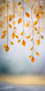 Autumn leaves hanging gracefully against a soft, blurred background