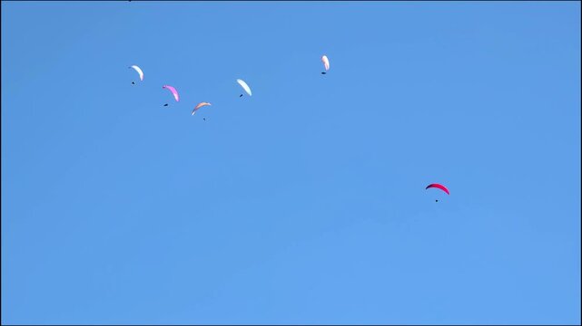 Groupe of paragliders flying high over clear blue sky. Extreme paragliding sport provides amazing sense true freedom. Summer outdoor flight adventure concept