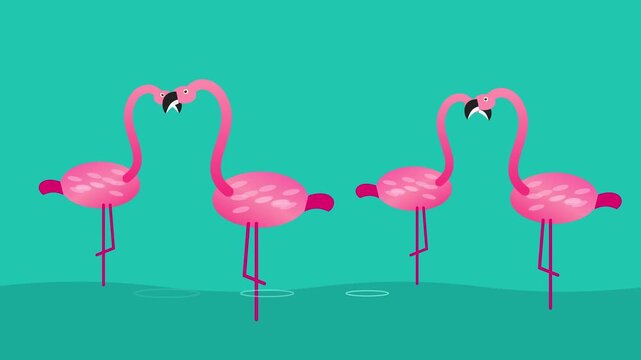 Pink cartoon flamingos standing in turquoise water, seamless loop animation. Cute tropical birds in love, flat 2D motion graphics summer background