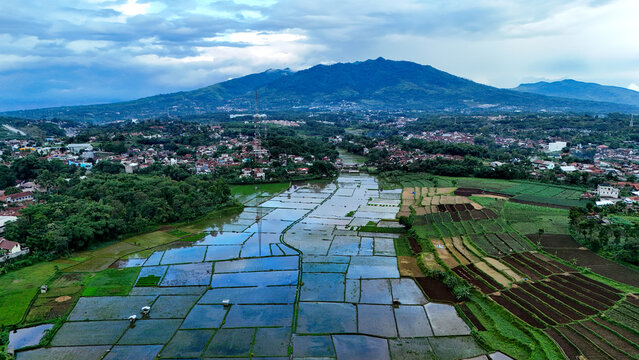 Aerial view of Tanjungsari rice paddies with reflective water, lush green vegetation, and a mountain backdrop in Sumedang, West Java, Indonesia.