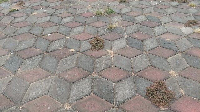 Paving Block 3D with Modern Geometric Pattern on Floor. Set of Realistic 3D Rendering of Grey Paving Blocks on Outdoor Walkway