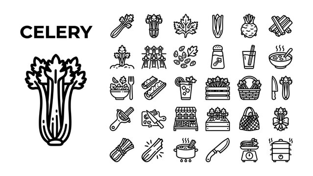 Celery icon set: A graphic representation of celery accompanied by a variety of icons depicting celery preparation, cooking, and serving.