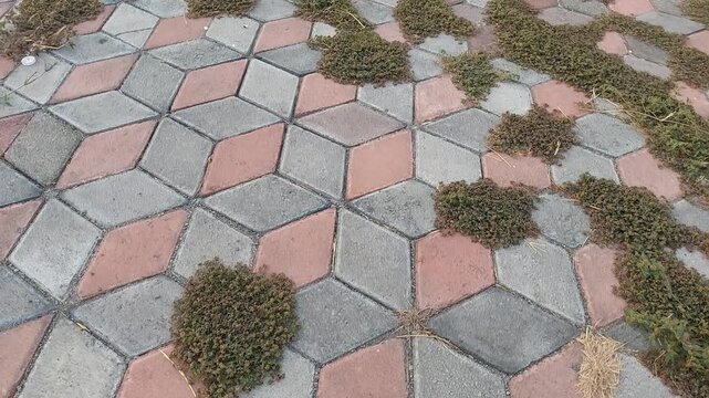 Paving Block 3D with Modern Geometric Pattern on Floor. Set of Realistic 3D Rendering of Grey Paving Blocks on Outdoor Walkway