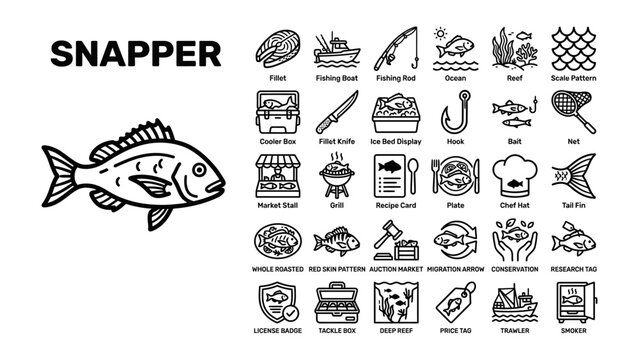 Snapper Fish Icons Set: A graphic collection featuring the outline of a snapper fish and a variety of associated icons, illustrating aspects of fishing, preparation, and consumption.