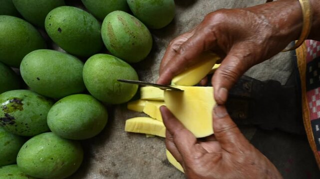 Raw mango pickle made with sugarcane molasses in a pot on a wood-burning mud stove in West Bengal, making raw mango pickle (Kacha Amer Achar) is a cultural ritual that signals. Sweet & Sour Raw Mango 
