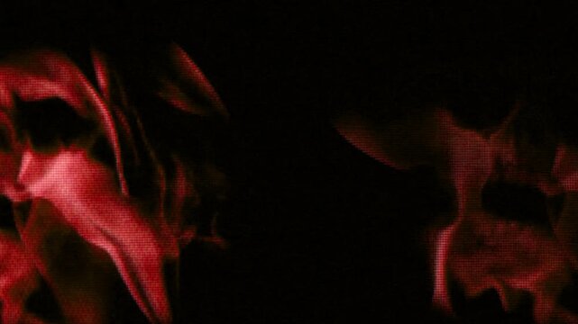 A spooky Halloween transition featuring glowing jack-o'-lanterns, dark shadows, and eerie orange lighting for horror video edits.