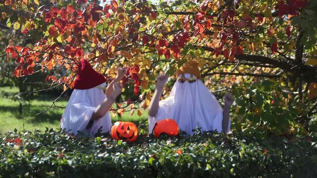 two kid in Halloween ghost costumes Wearing bright hats and black glasses,  in the park. Halloween party