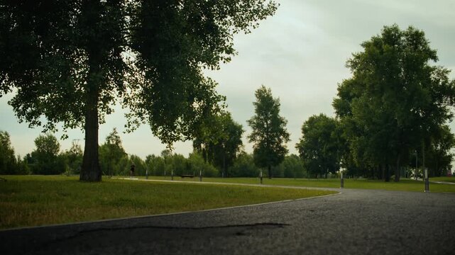 Quiet park path with distant walker beside bench under tall trees in soft overcast light on calm day