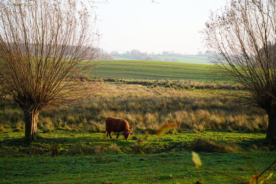 Der Blick in die Ferne 