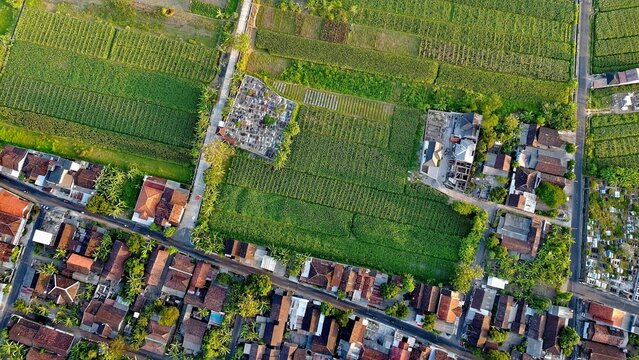 Aerial view of Kebondalem Kidul featuring lush green agricultural fields, residential houses with terracotta roofs, and narrow roads in Prambanan, Central Java, Indonesia.